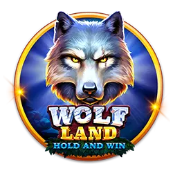 gamezone bingo plus how to read sports bet odds